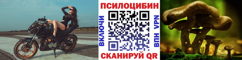 закладки  Бакал  кракен сайт  Псилоцибиновые грибы GOLDEN TEACHER 